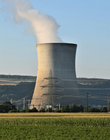 turpe-7
