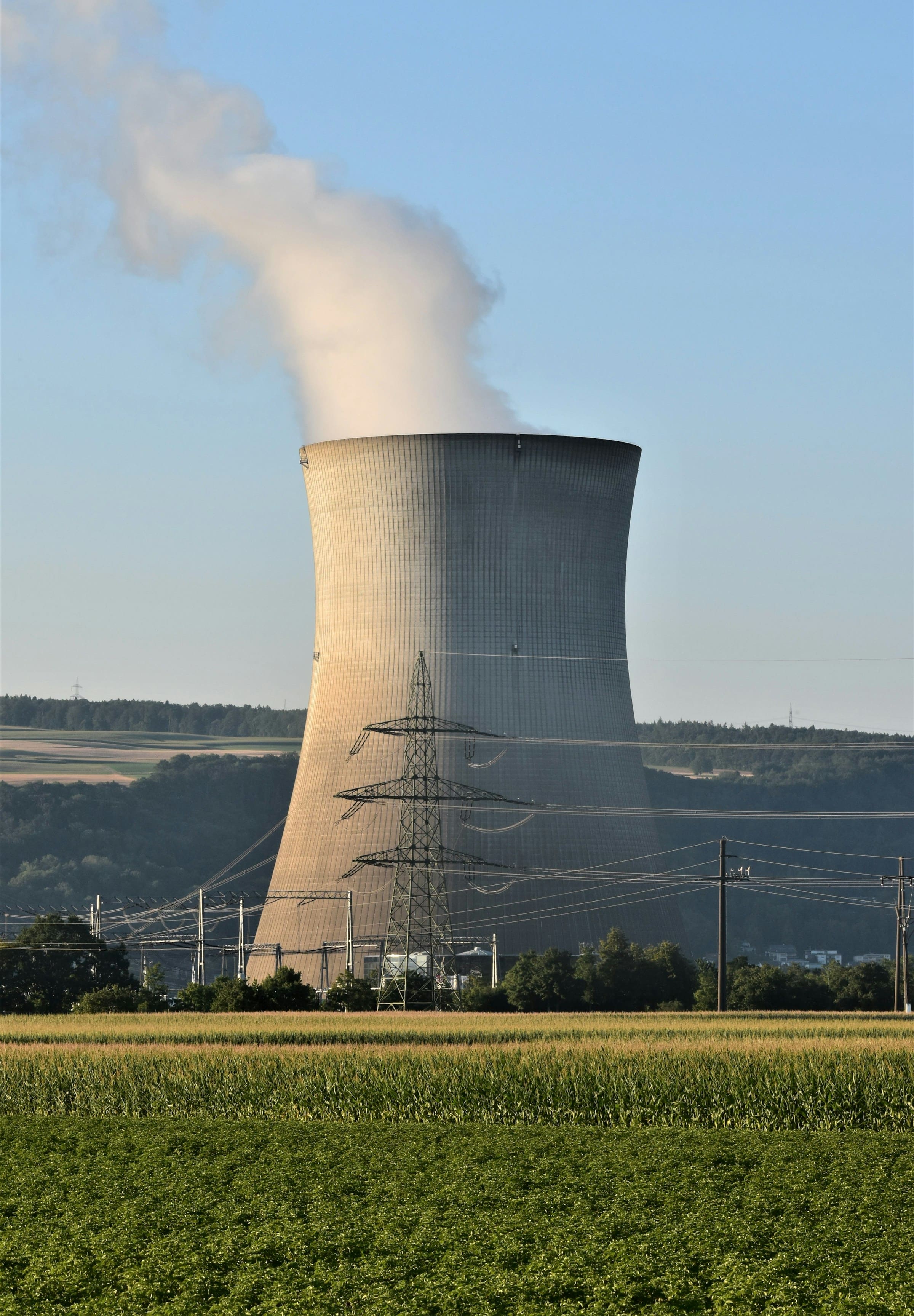 turpe-7